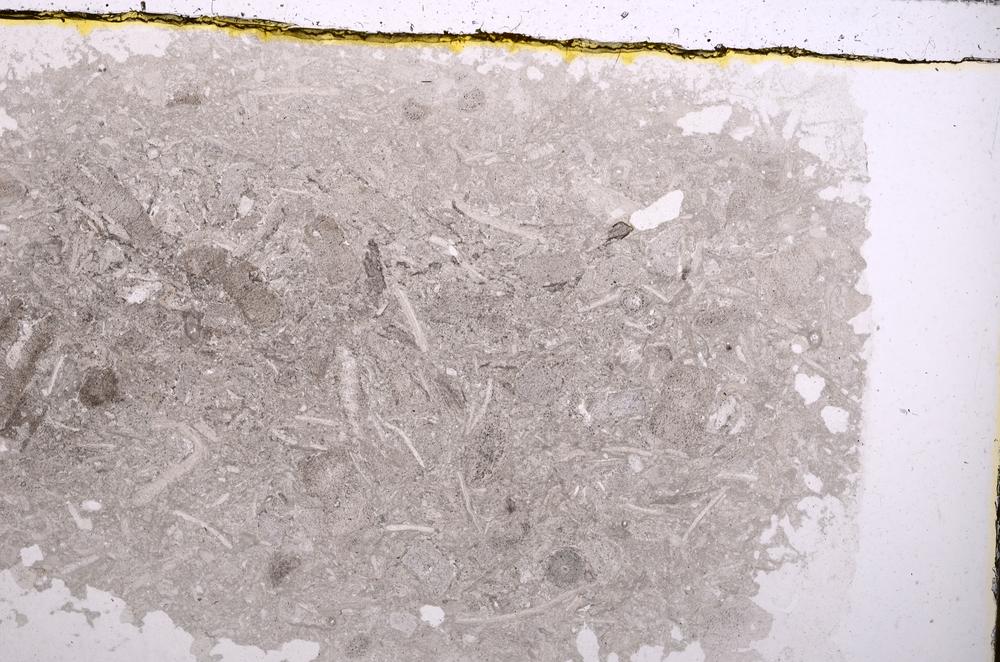 Plane Polarized, E41866