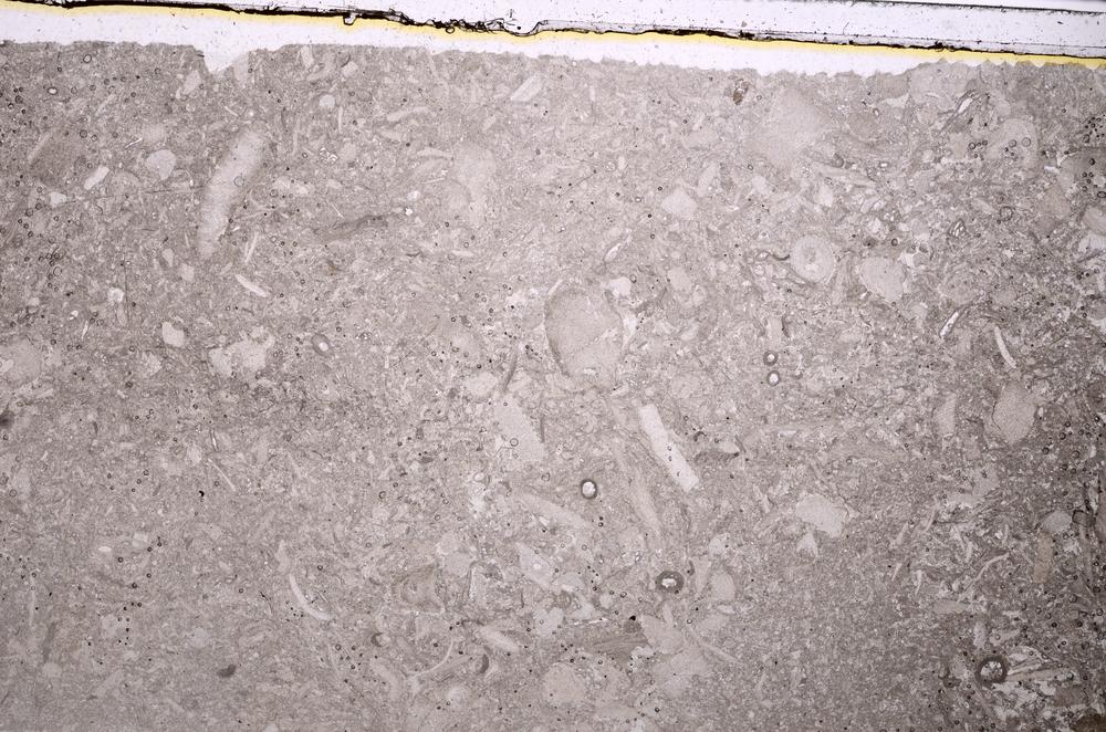 Plane Polarized, E41867