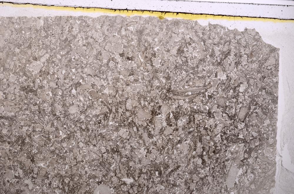Plane Polarized, E41868