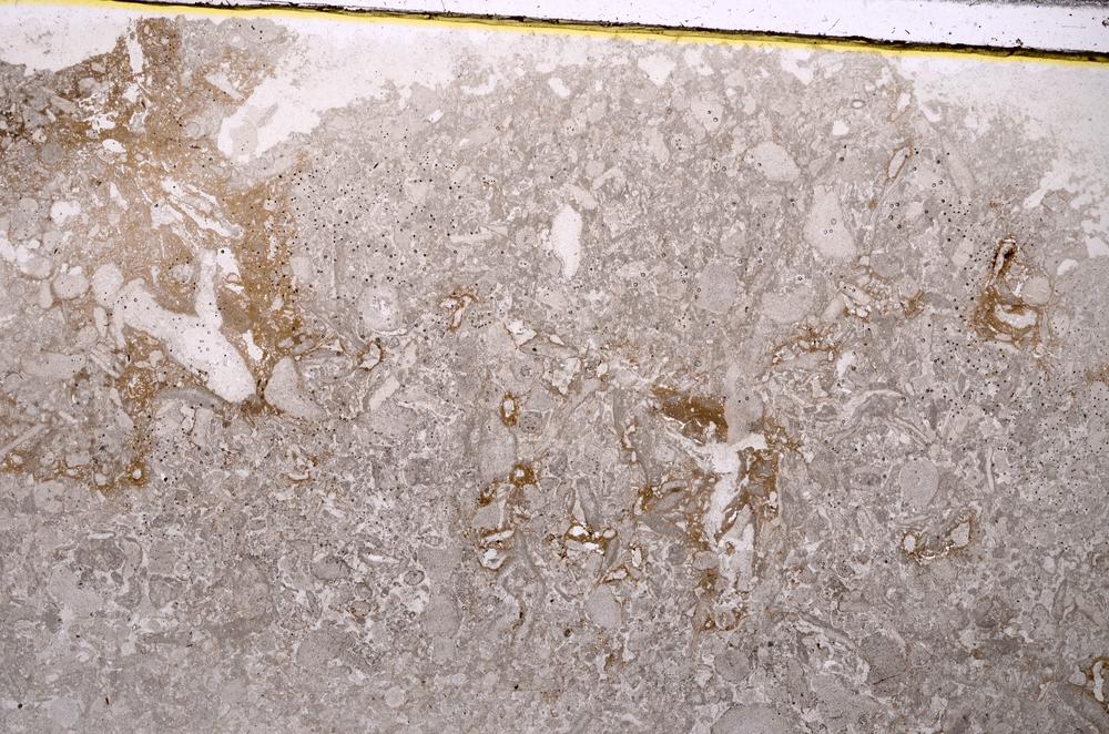 Plane Polarized, E41870