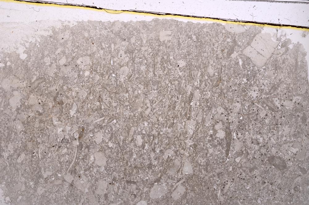 Plane Polarized, E41873
