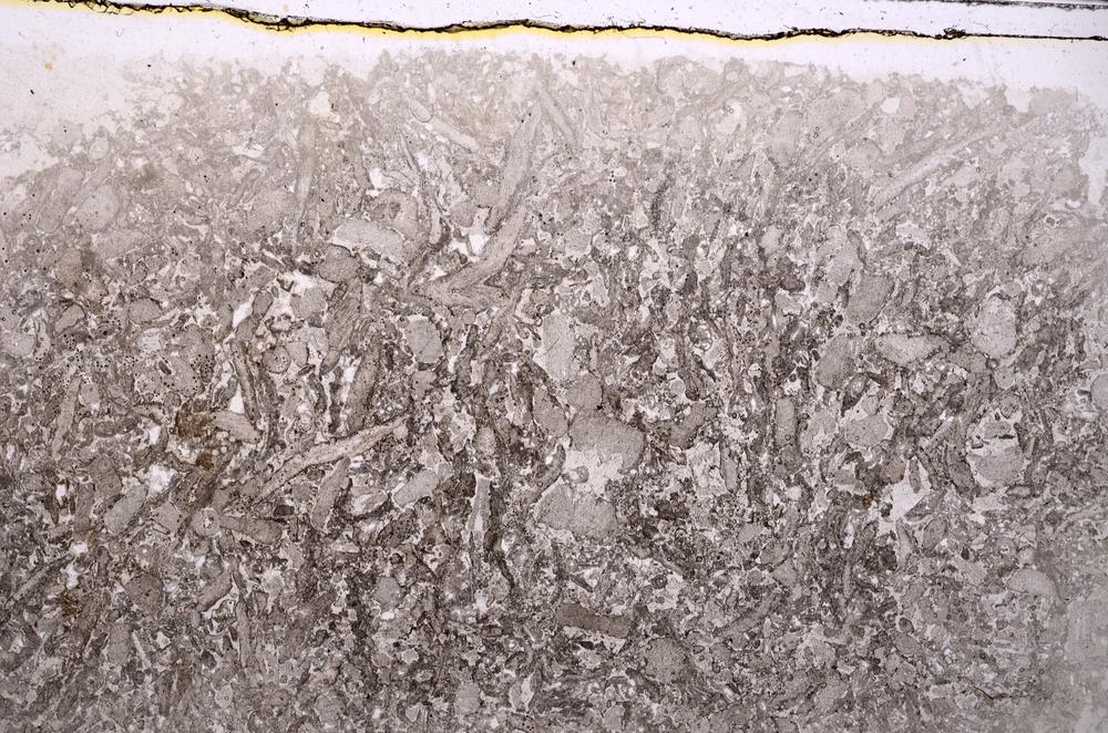 Plane Polarized, E41882