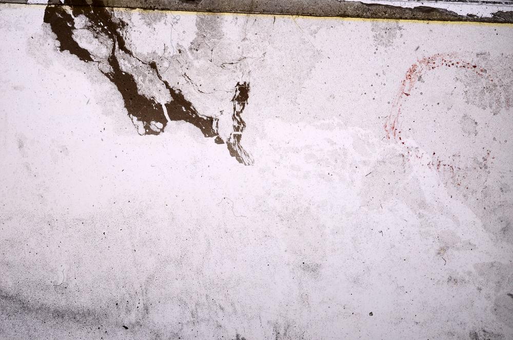 Plane Polarized, E41895