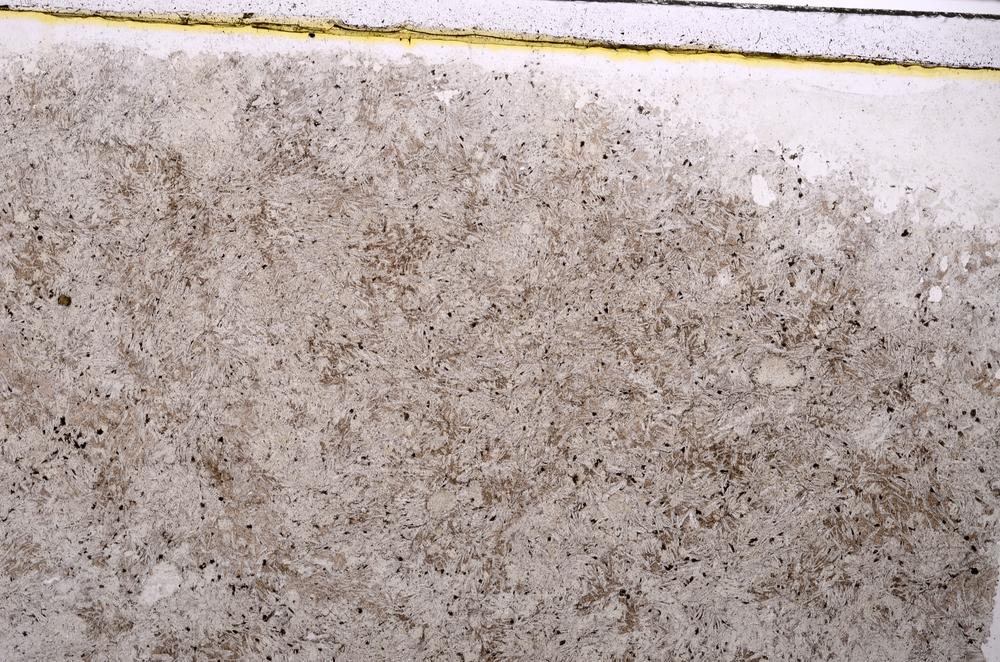 Plane Polarized, E41928