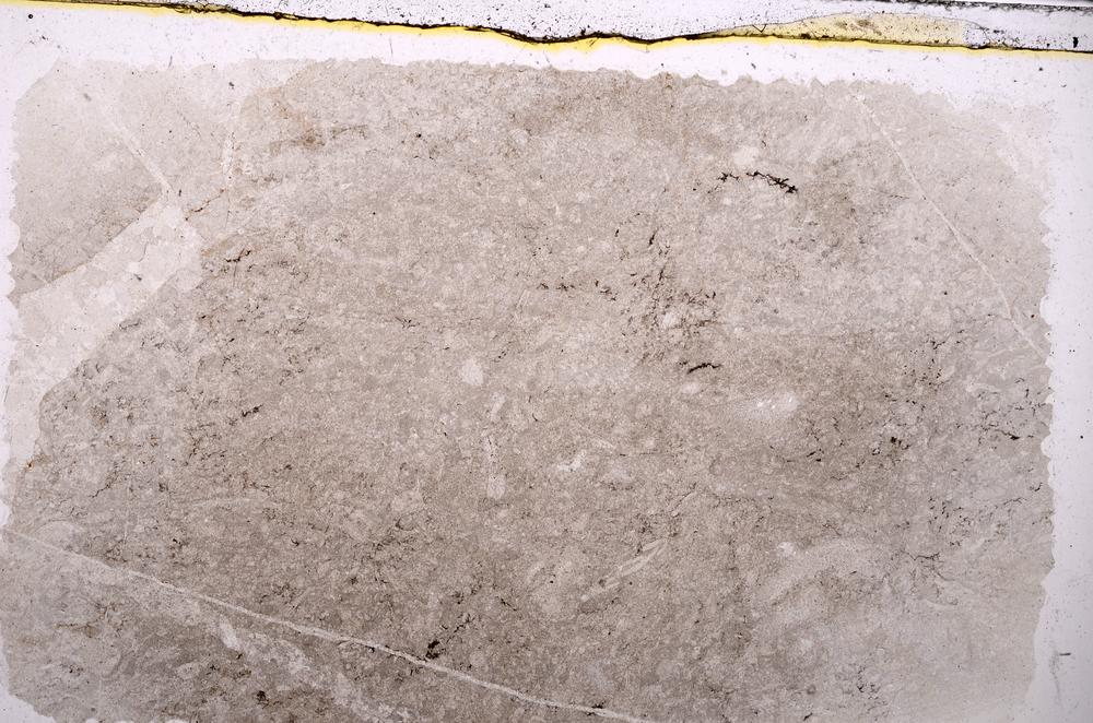 Plane Polarized, E41940