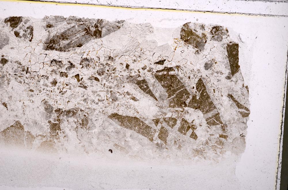 Plane Polarized, E41950