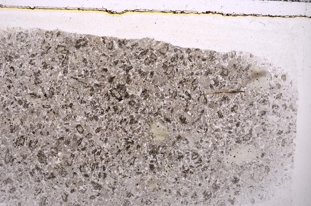 Plane Polarized, E41974