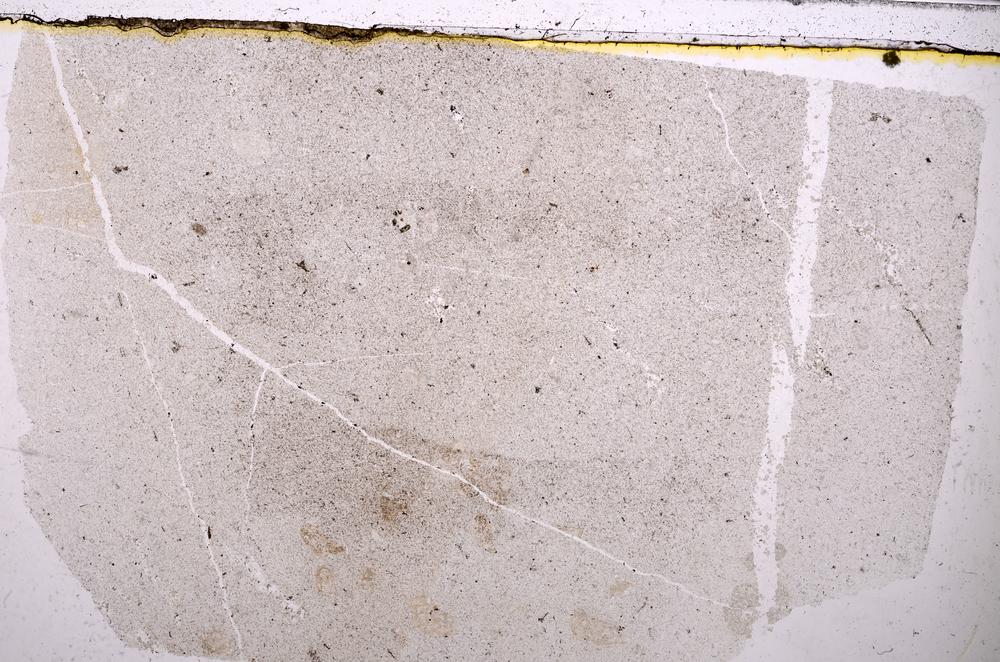 Plane Polarized, E41976