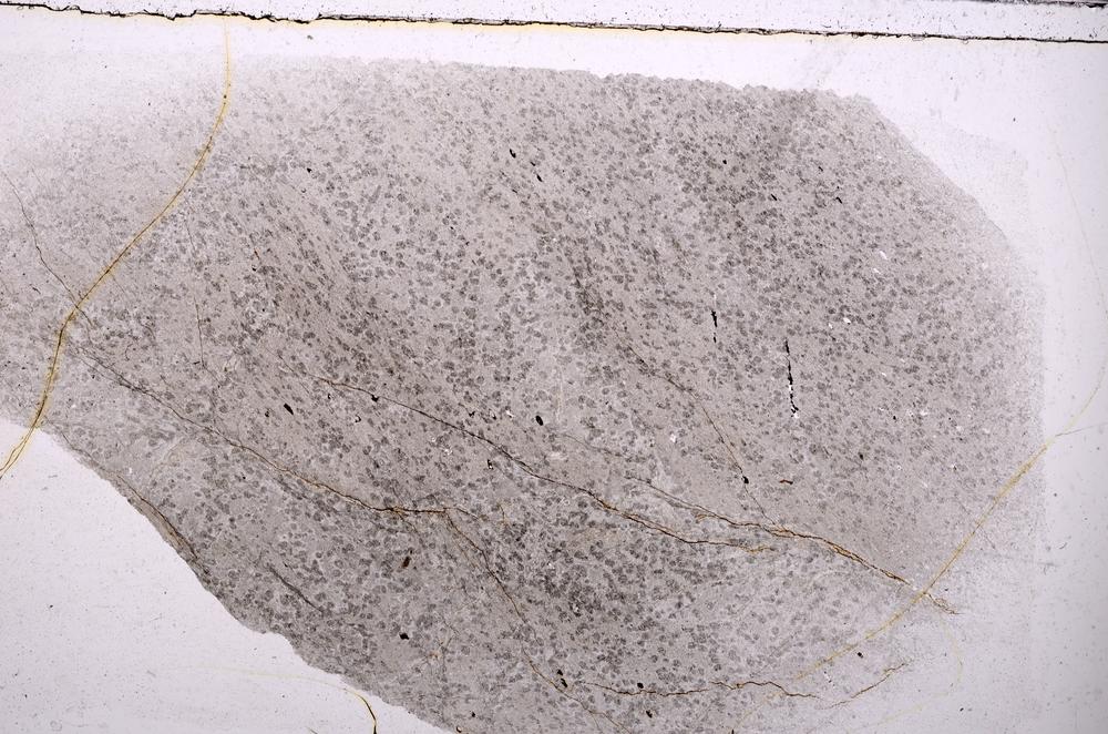 Plane Polarized, E41977