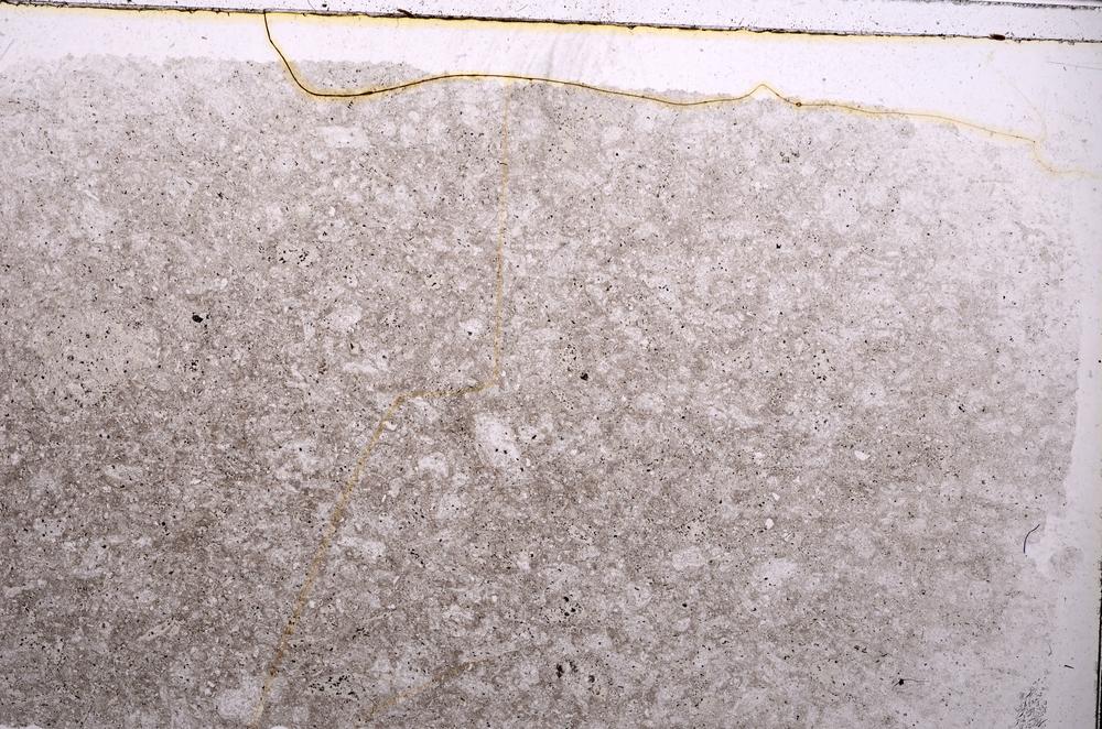 Plane Polarized, E41978