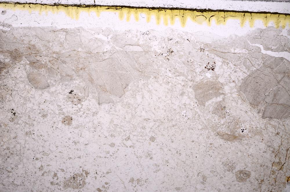 Plane Polarized, E41979