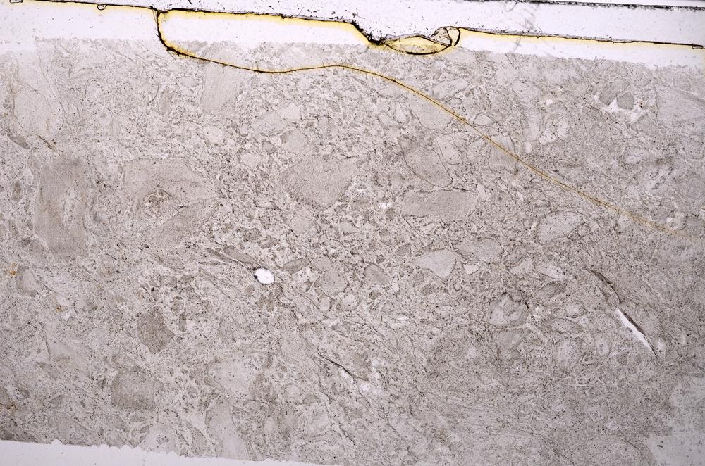 Plane Polarized, E41979/A