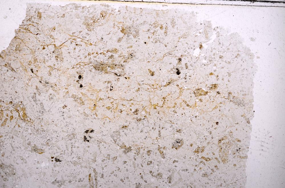 Plane Polarized, E41980