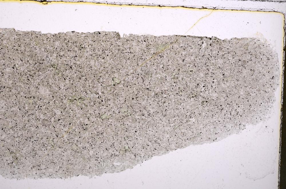 Plane Polarized, E41984