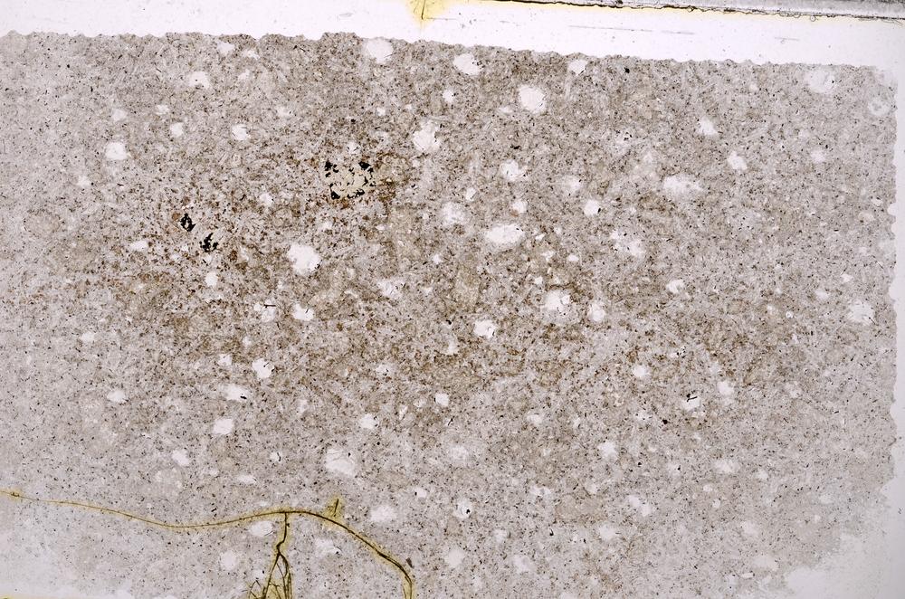 Plane Polarized, E41986