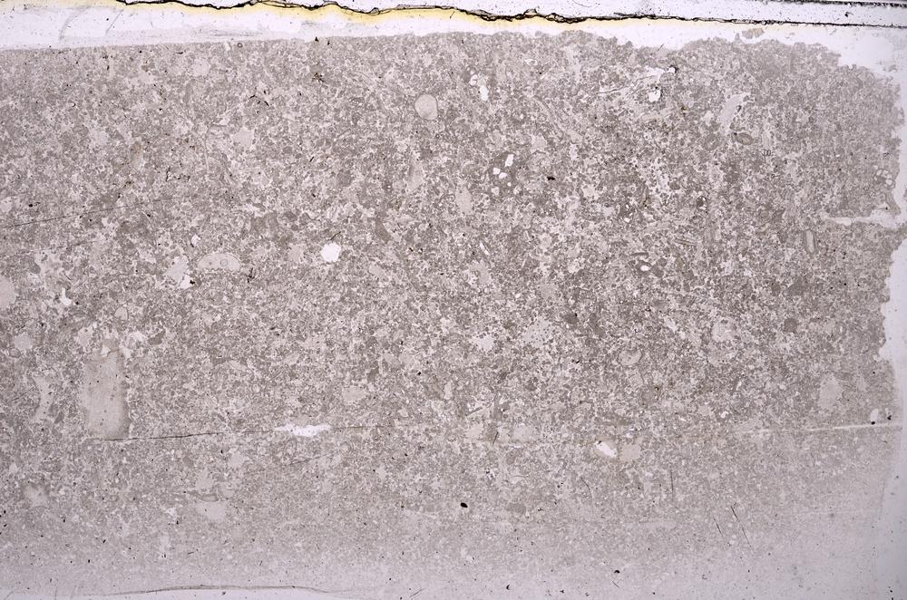 Plane Polarized, E41997