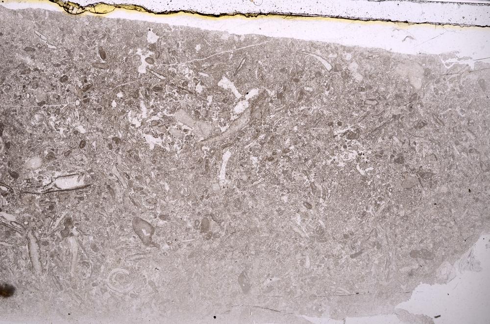 Plane Polarized, E42001