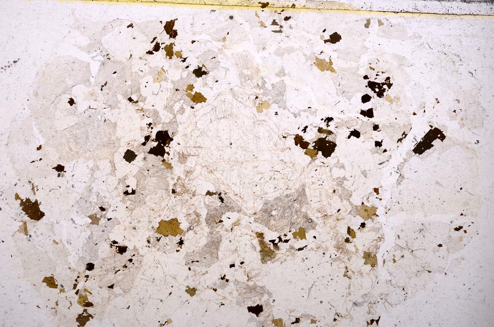 Plane Polarized, E42039