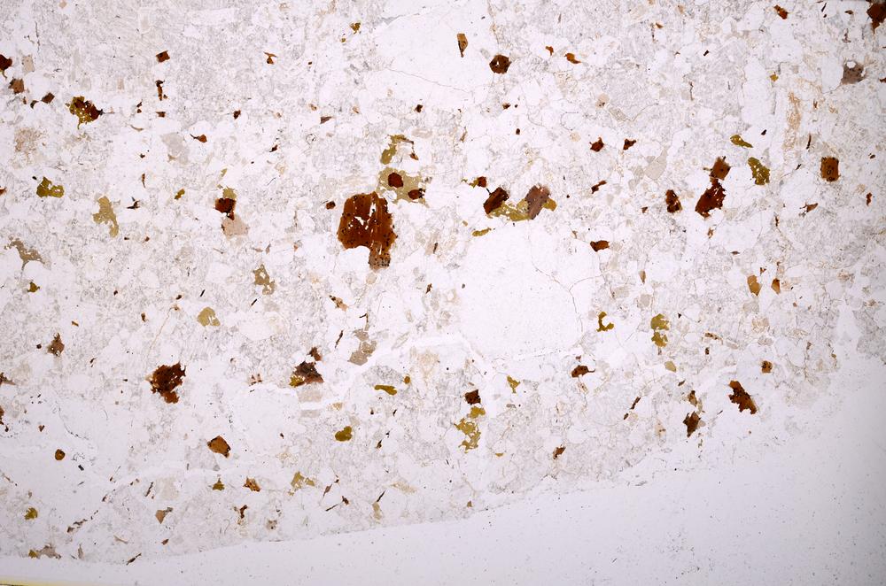 Plane Polarized, E42058