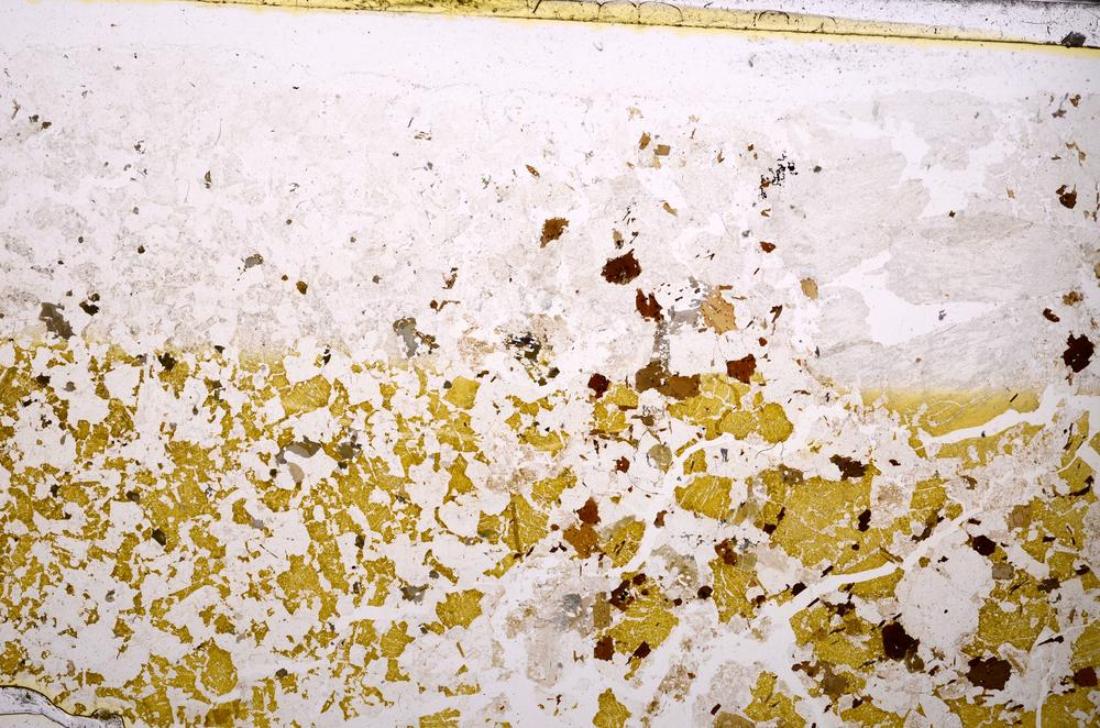 Plane Polarized, E42060/A