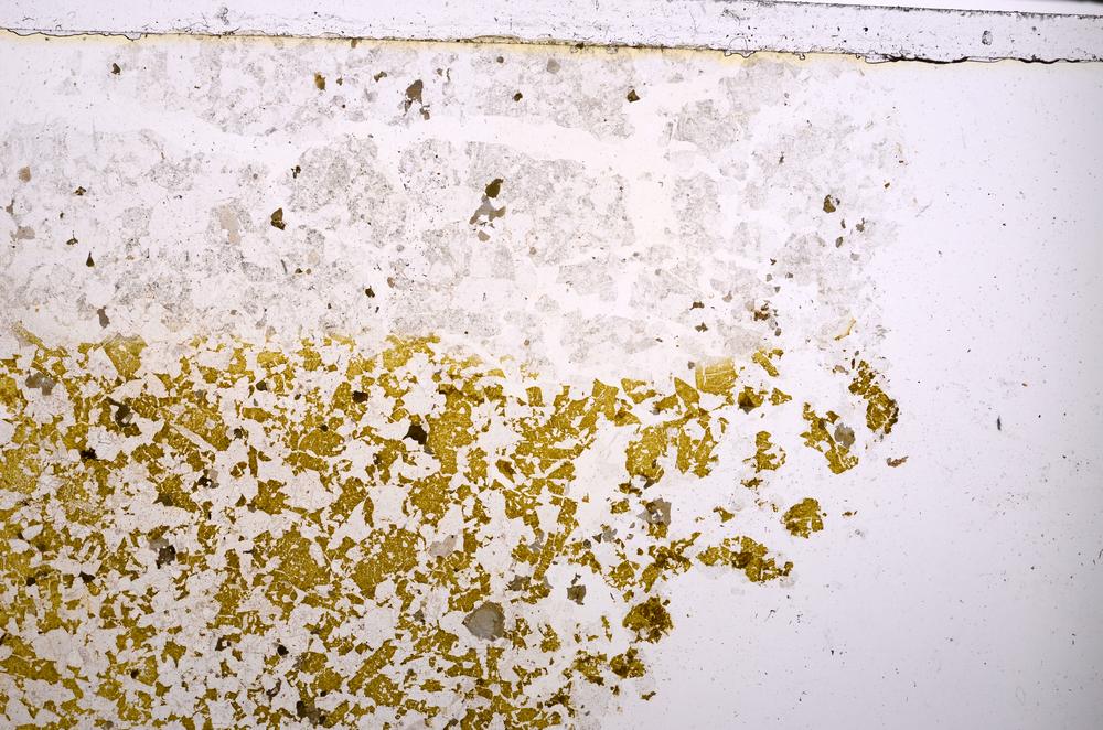 Plane Polarized, E42060/B