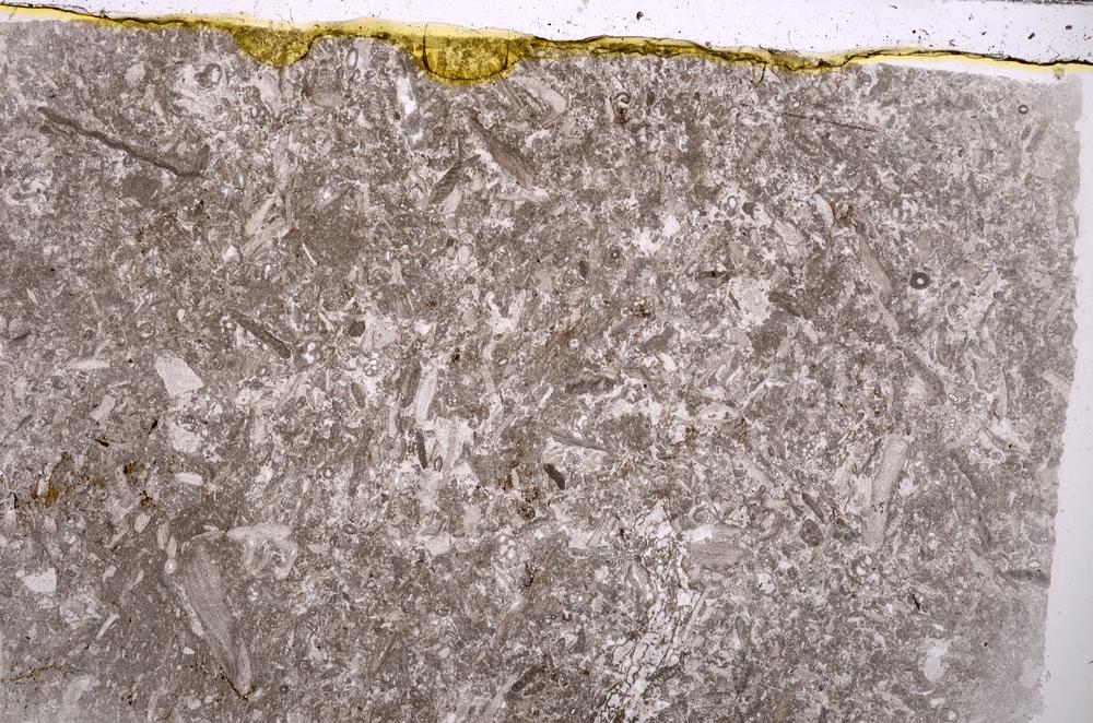 Plane Polarized, E42083