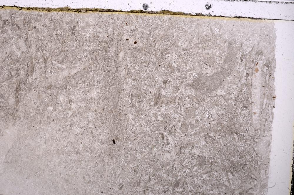 Plane Polarized, E42091