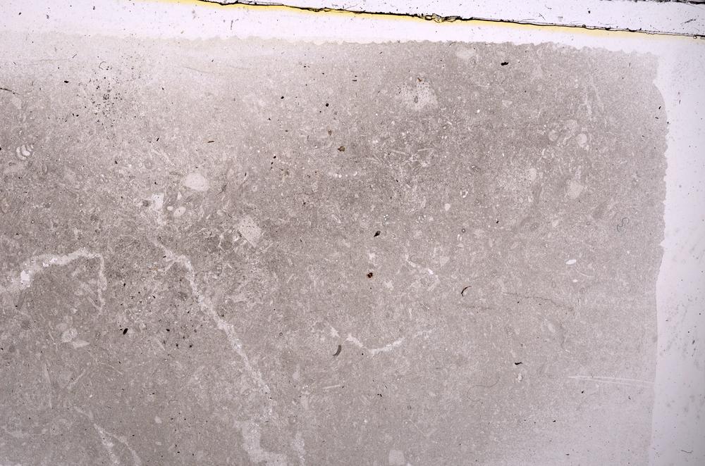 Plane Polarized, E42094