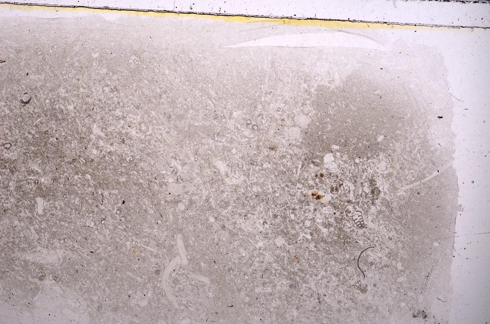 Plane Polarized, E42108