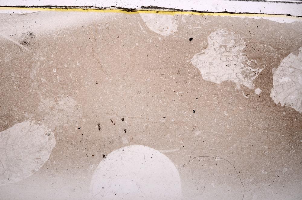 Plane Polarized, E42124