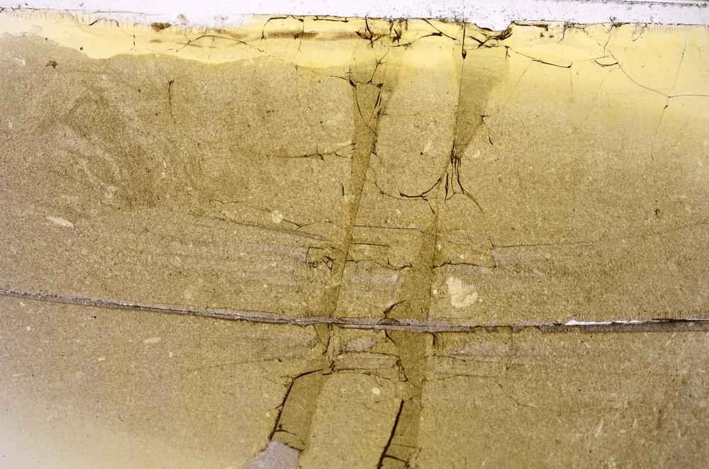 Plane Polarized, E42126