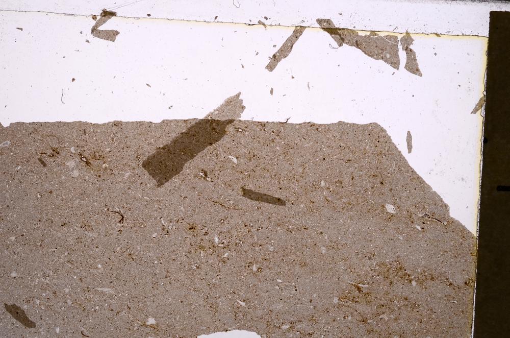 Plane Polarized, E42183