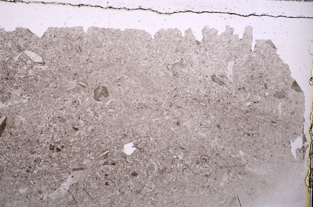 Plane Polarized, E42316