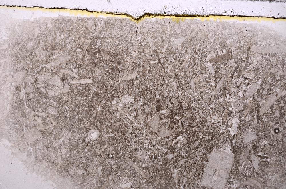 Plane Polarized, E42324