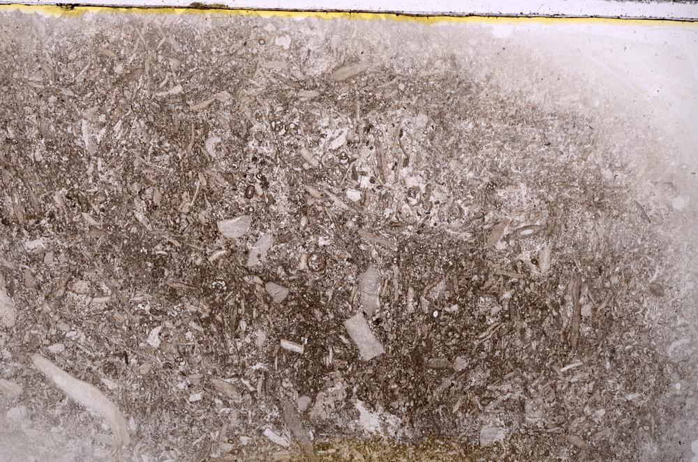 Plane Polarized, E42325