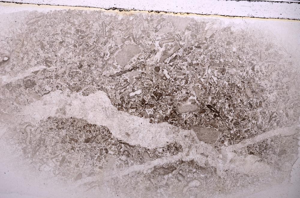 Plane Polarized, E42328