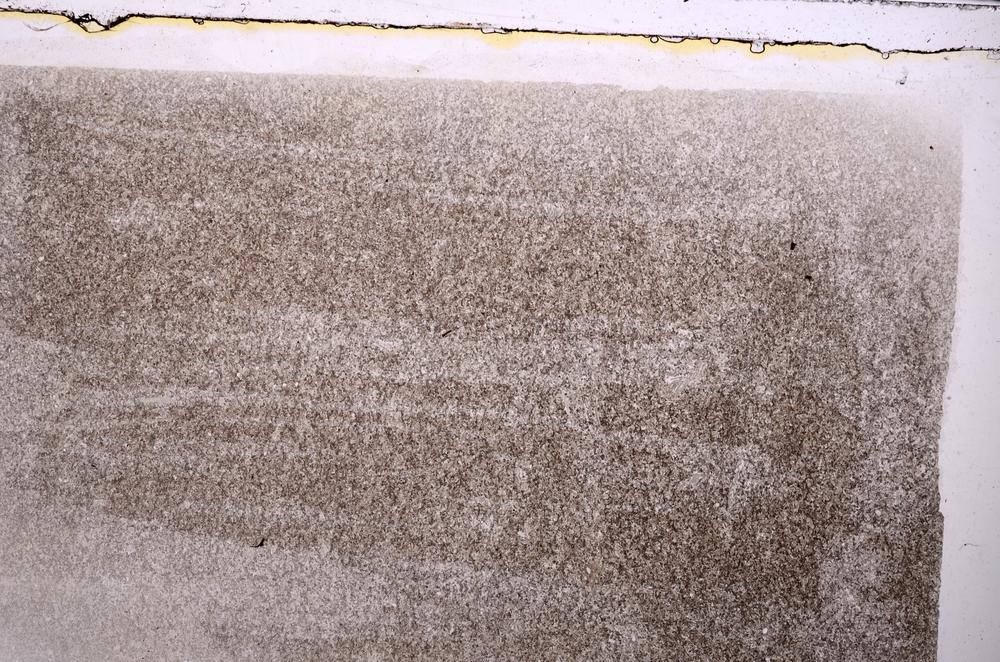 Plane Polarized, E42333