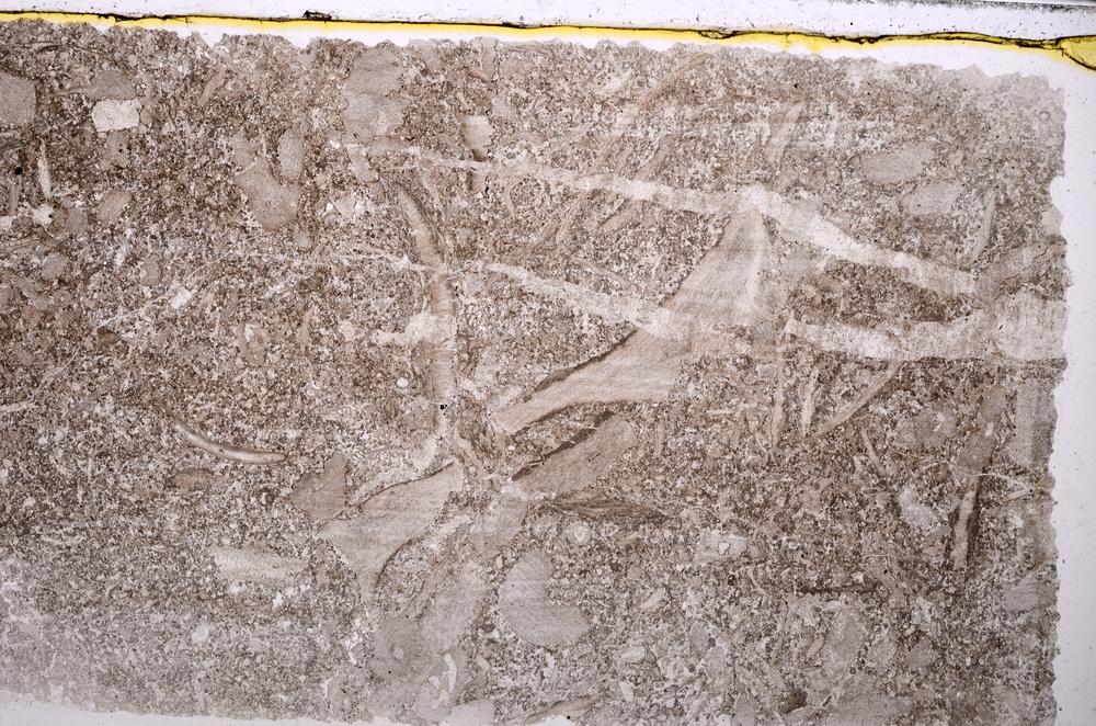 Plane Polarized, E42335