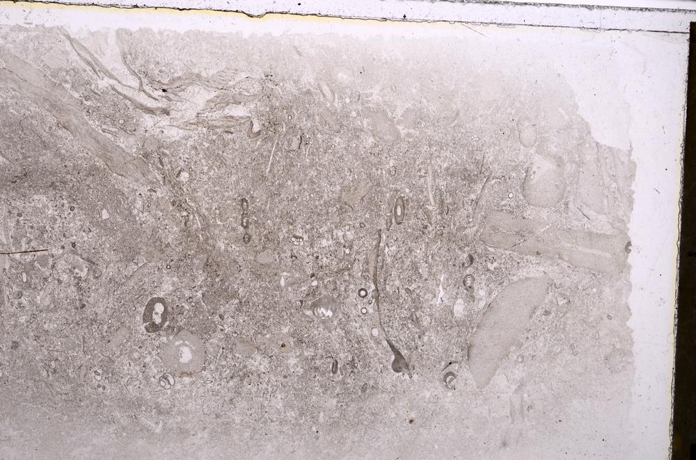 Plane Polarized, E42340