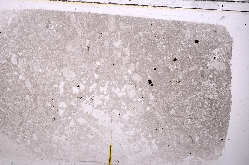 Plane Polarized, E42349