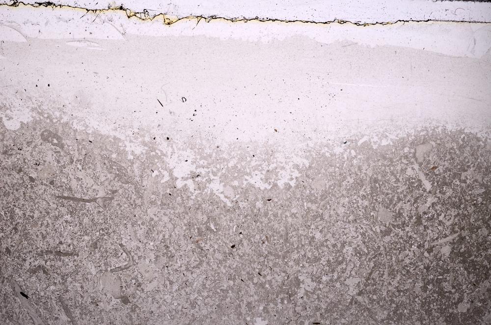 Plane Polarized, E42355