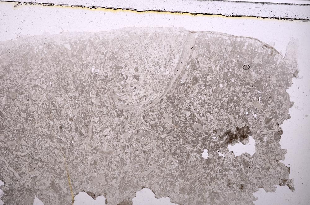 Plane Polarized, E42357