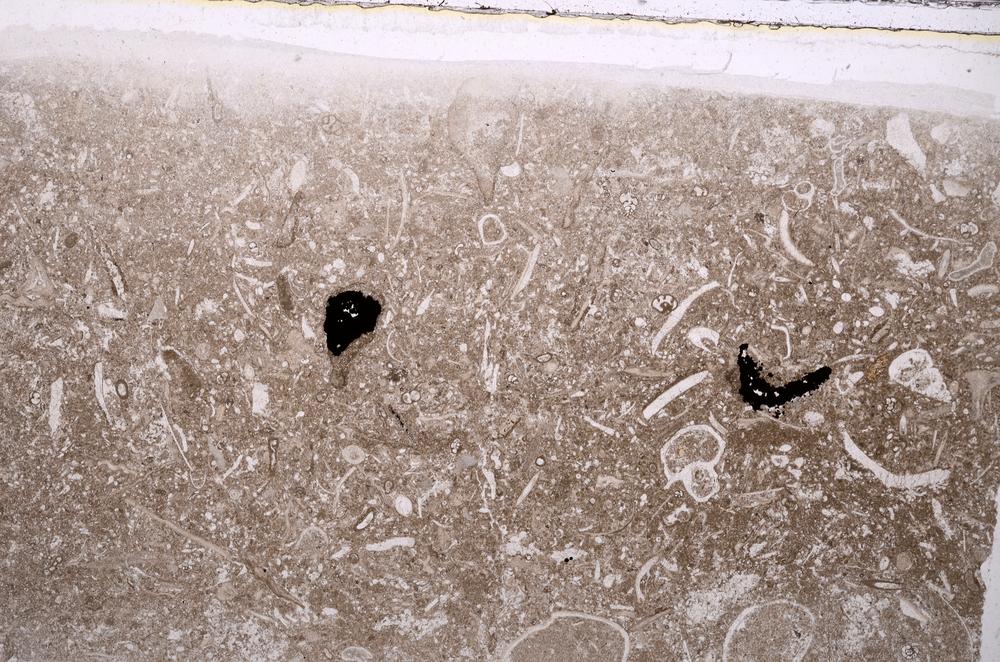 Plane Polarized, E42360