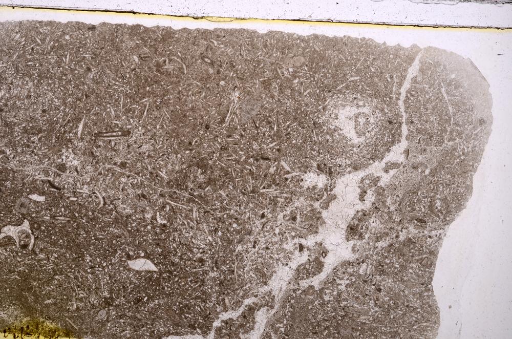 Plane Polarized, E42361