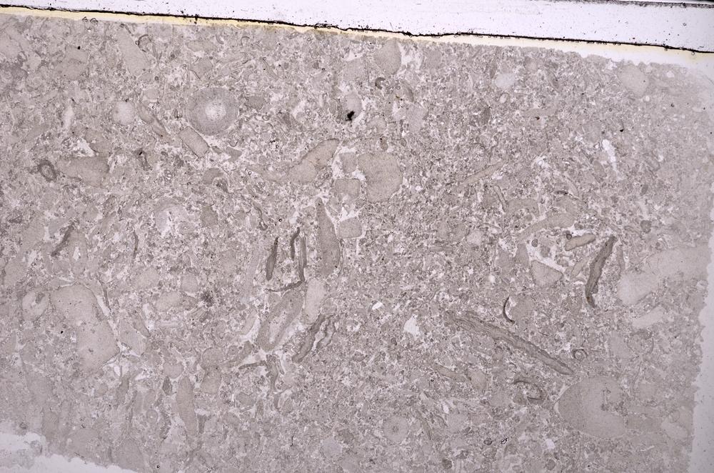 Plane Polarized, E42398