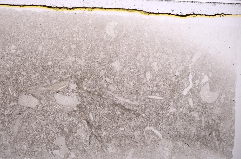 Plane Polarized, E42411