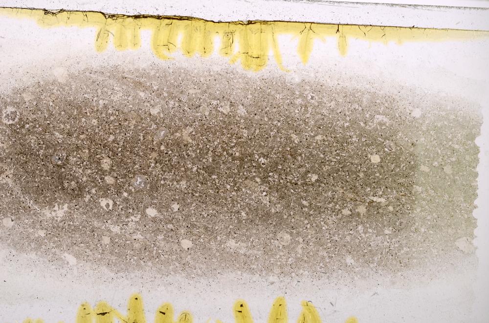 Plane Polarized, E42418