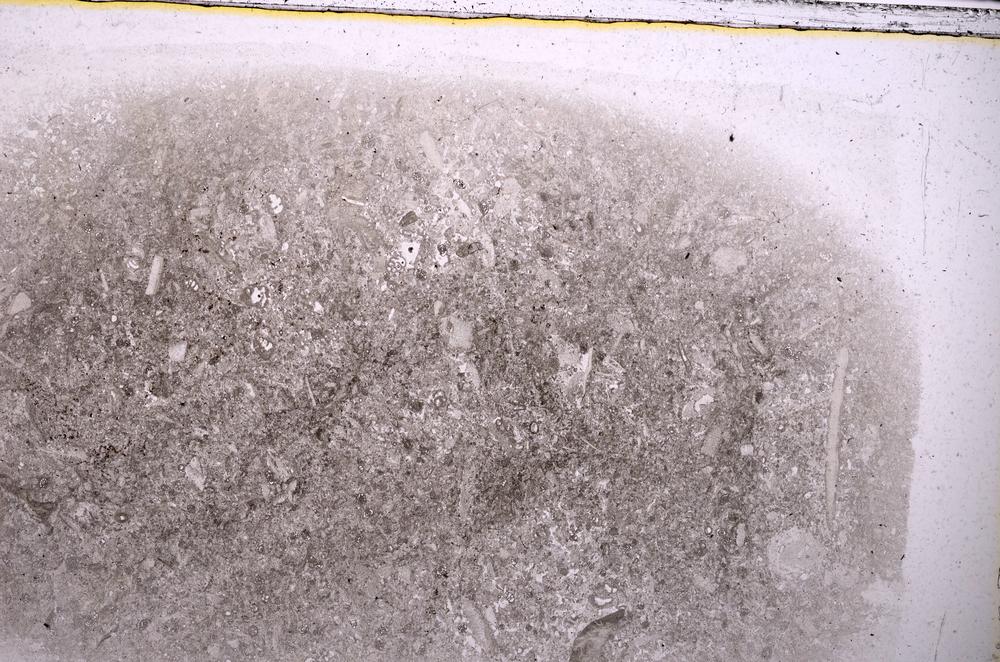 Plane Polarized, E42505