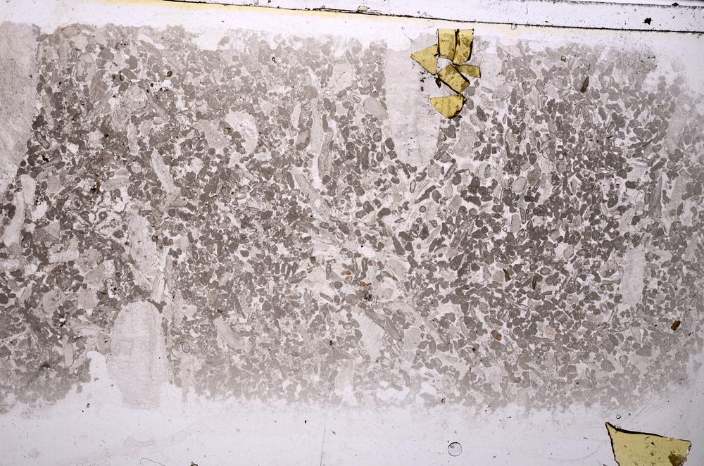 Plane Polarized, E42515