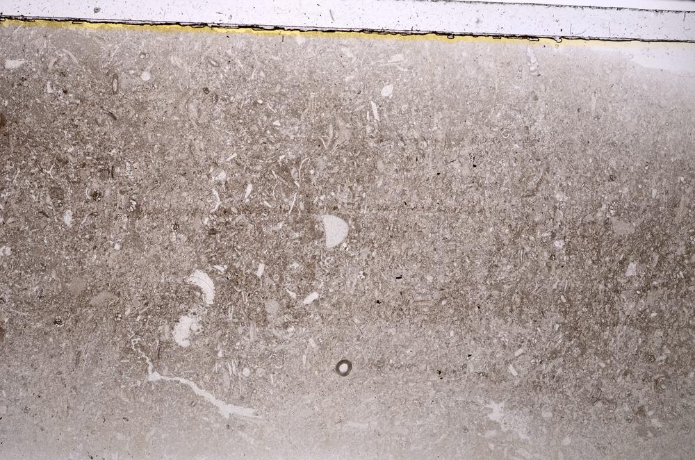 Plane Polarized, E42518